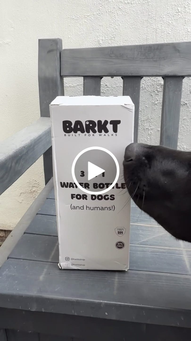 Customer video review of Adventure Blue 3-in-1 – Barkt Bottle & Bag