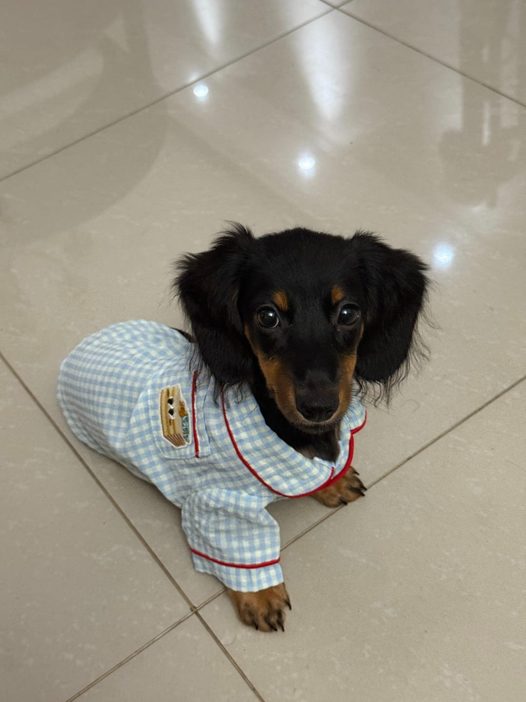 Customer photo review of Gingham Getaway Shirt