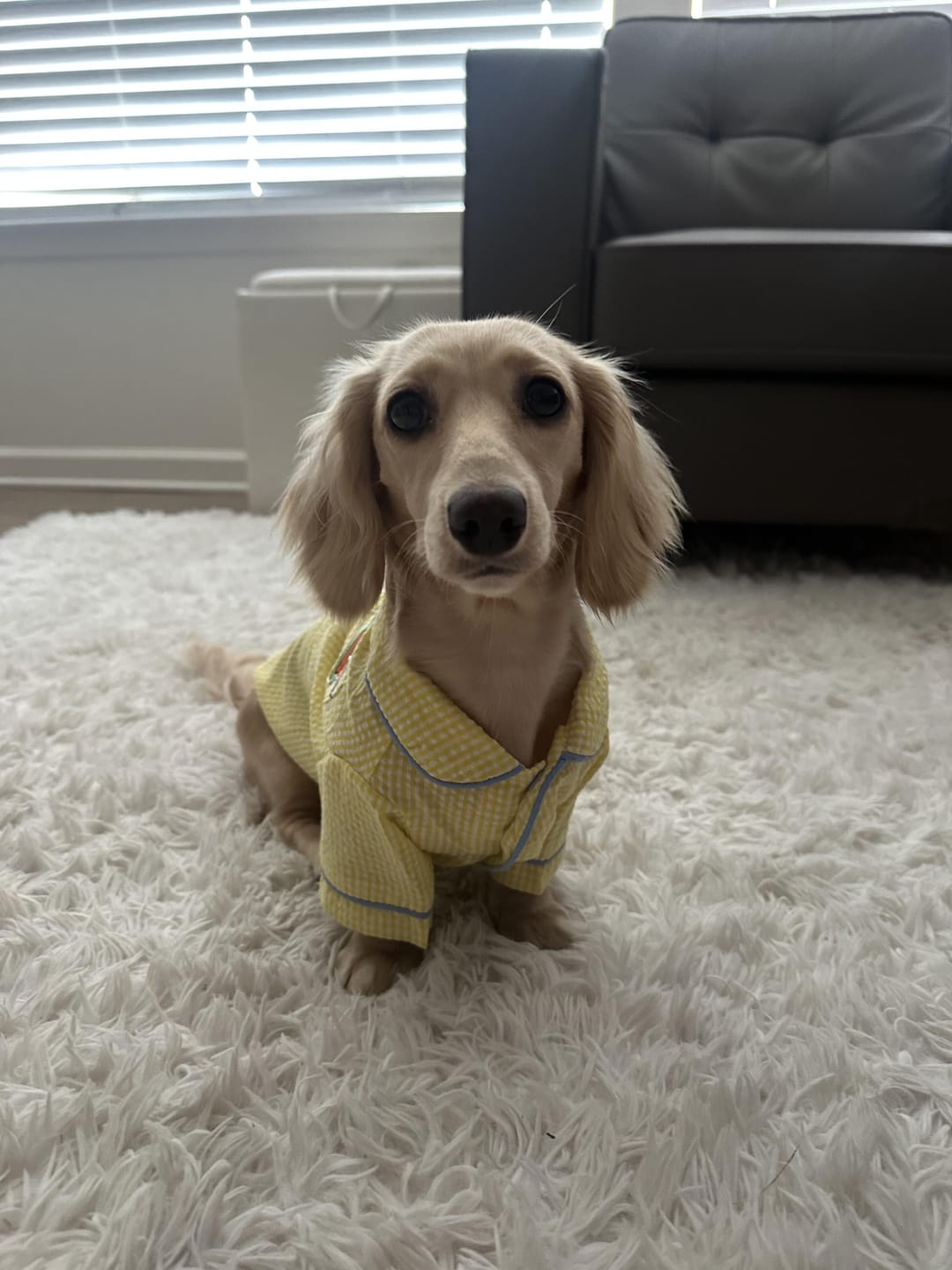 Customer photo review of Gingham Getaway Shirt