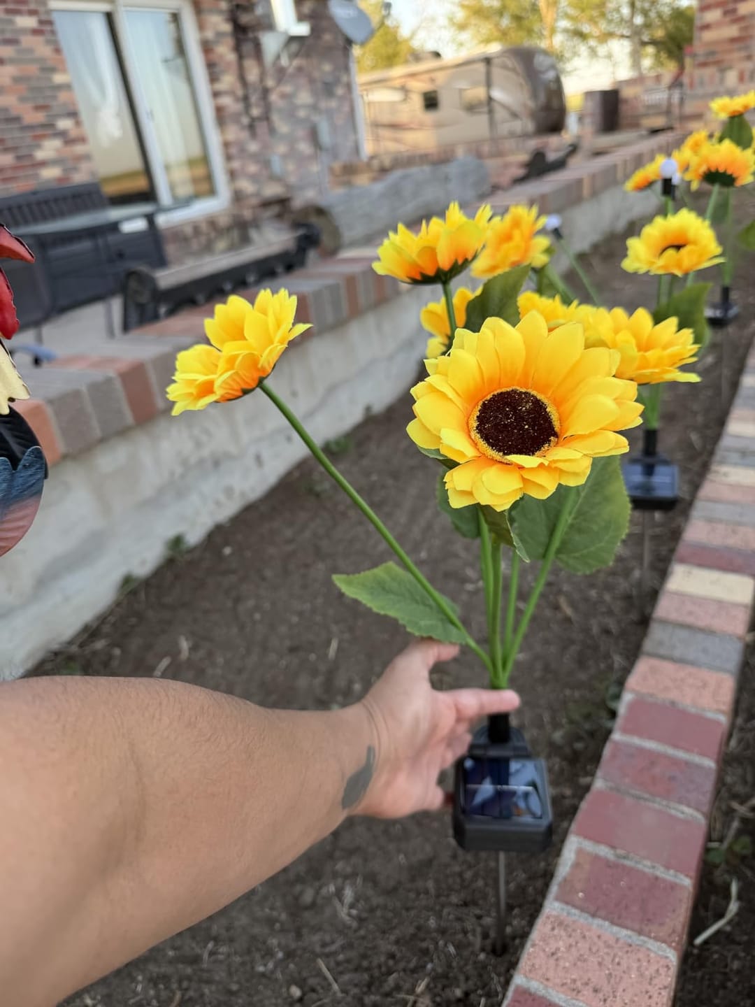 Customer photo review of Litlamp® Solar Sunflower LED Lights