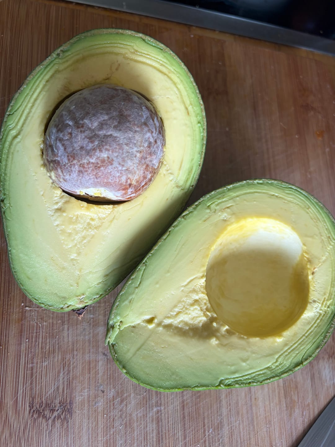 Customer photo review of Avocado-Mix 13 Monate baumgereift Sonderaktion % 2kg Box
