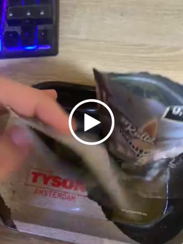 Customer video review of Blueberry Muffin THCA Flower