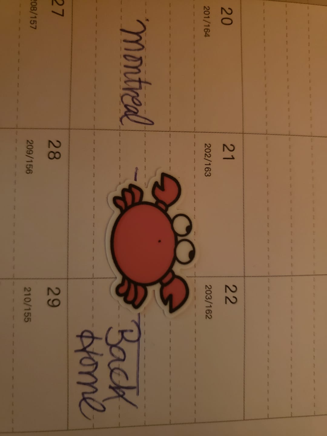Customer photo review of Sticker Sheet - Don't Be Crabby!