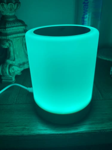 Customer photo review of Friendship Lamp