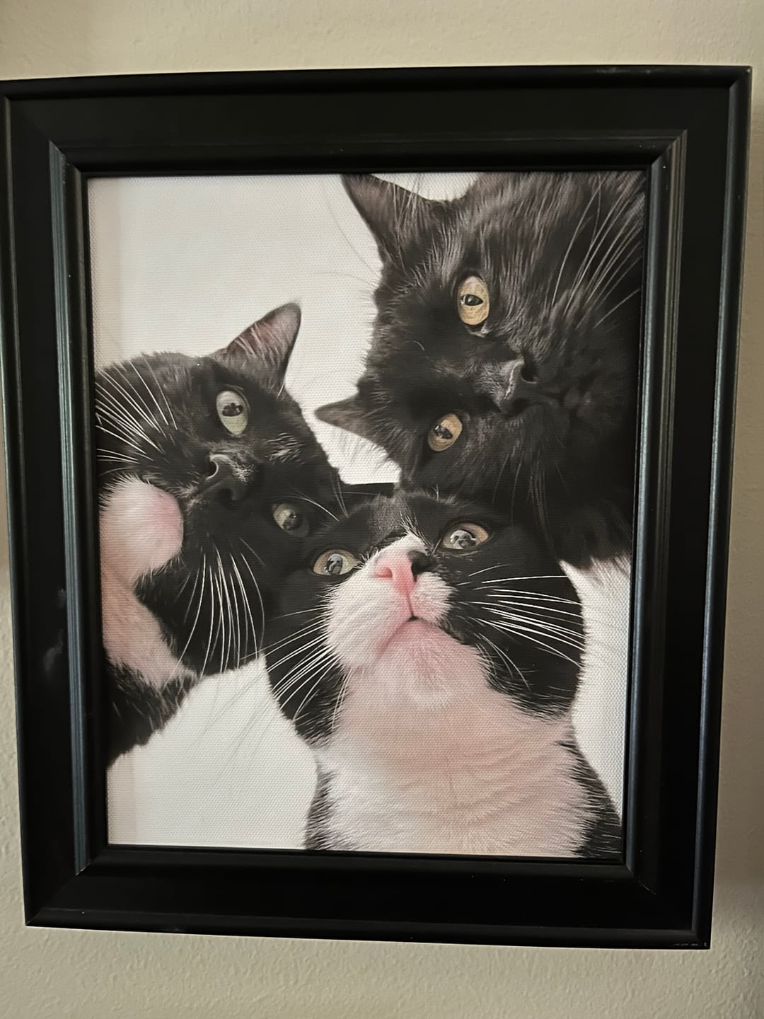 Customer photo review of Artzuzu Custom Portrait For Pets - Hey!