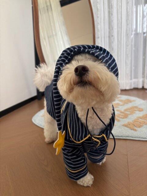 Customer photo review of Hit Snooze, Hooman Pajamas — Midnight Blue