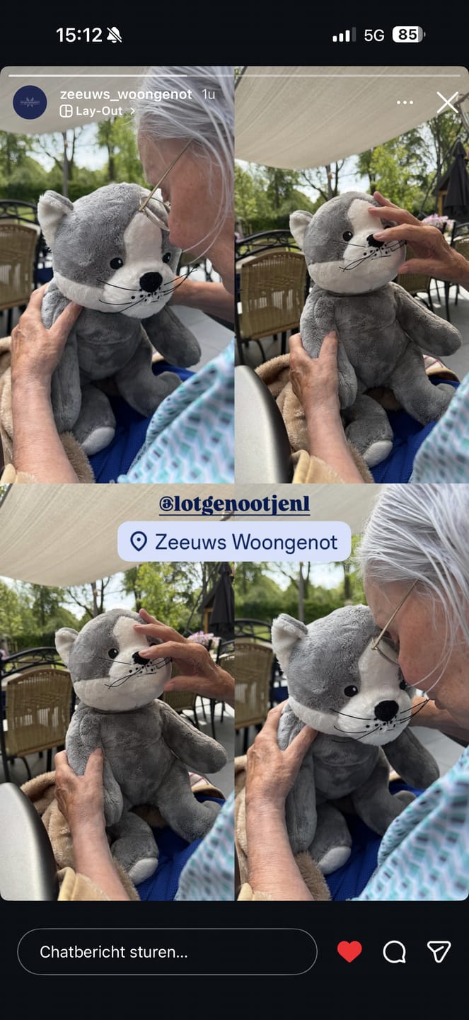 Customer photo review of Lotgenootje Kat 2kg