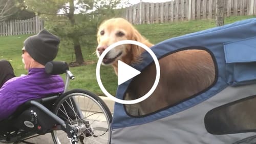 Customer video review of Bacchetta Idler Kit