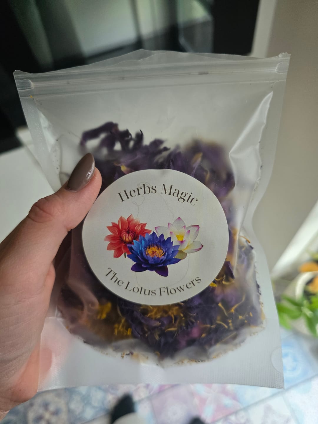 Customer photo review of PRE ORDER Blue Lotus Flower (Nymphaea caerulea)