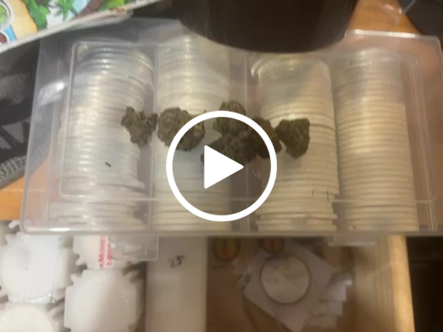 Customer video review of Sour Diesel - THCa Flower