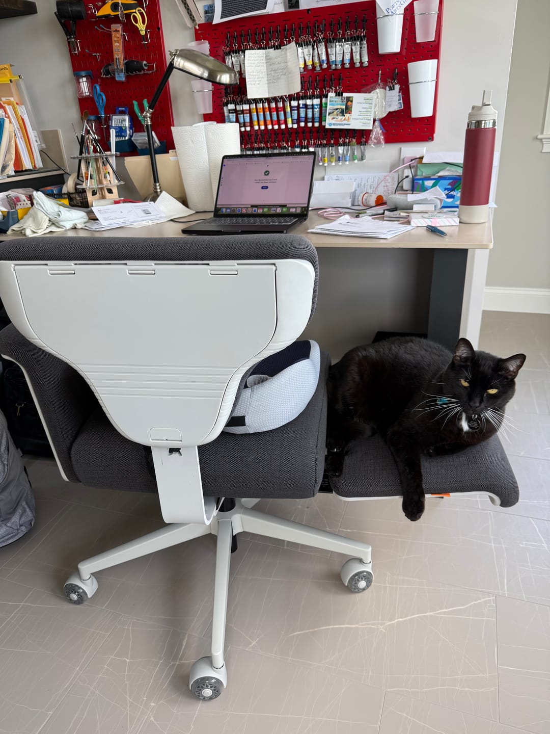 Customer photo review of Newtral Freedom-X Multi-Posture Pro Chair with Armrest-Dark Grey