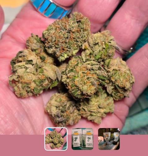 Customer holding several dense green buds of Cherry Dosi-Do in their hand.