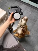 Customer photo review of OmniLeash™ - Il guinzaglio 4-in-1 che rivoluziona le vostre uscite