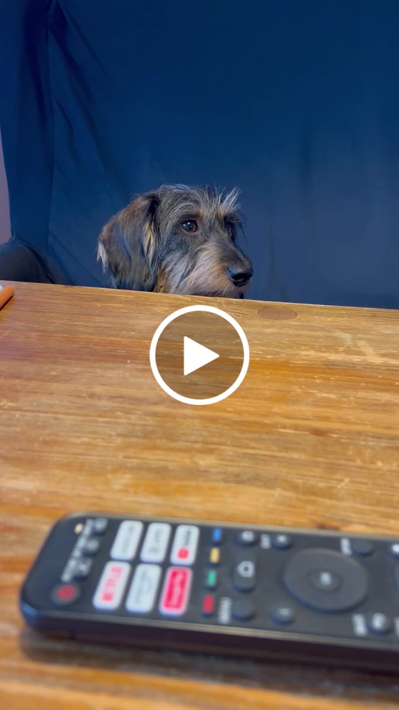 Customer video review of Wurmtest Plus Hund