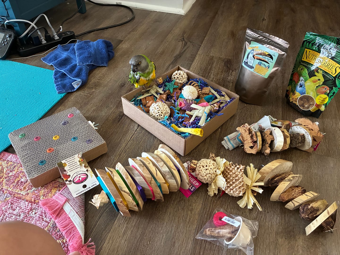Customer photo review of Foraging Flat Bird Toy (BYOT) – Interactive Treat Hide & Shredding Tray for Parrots, Conures, Cockatiels