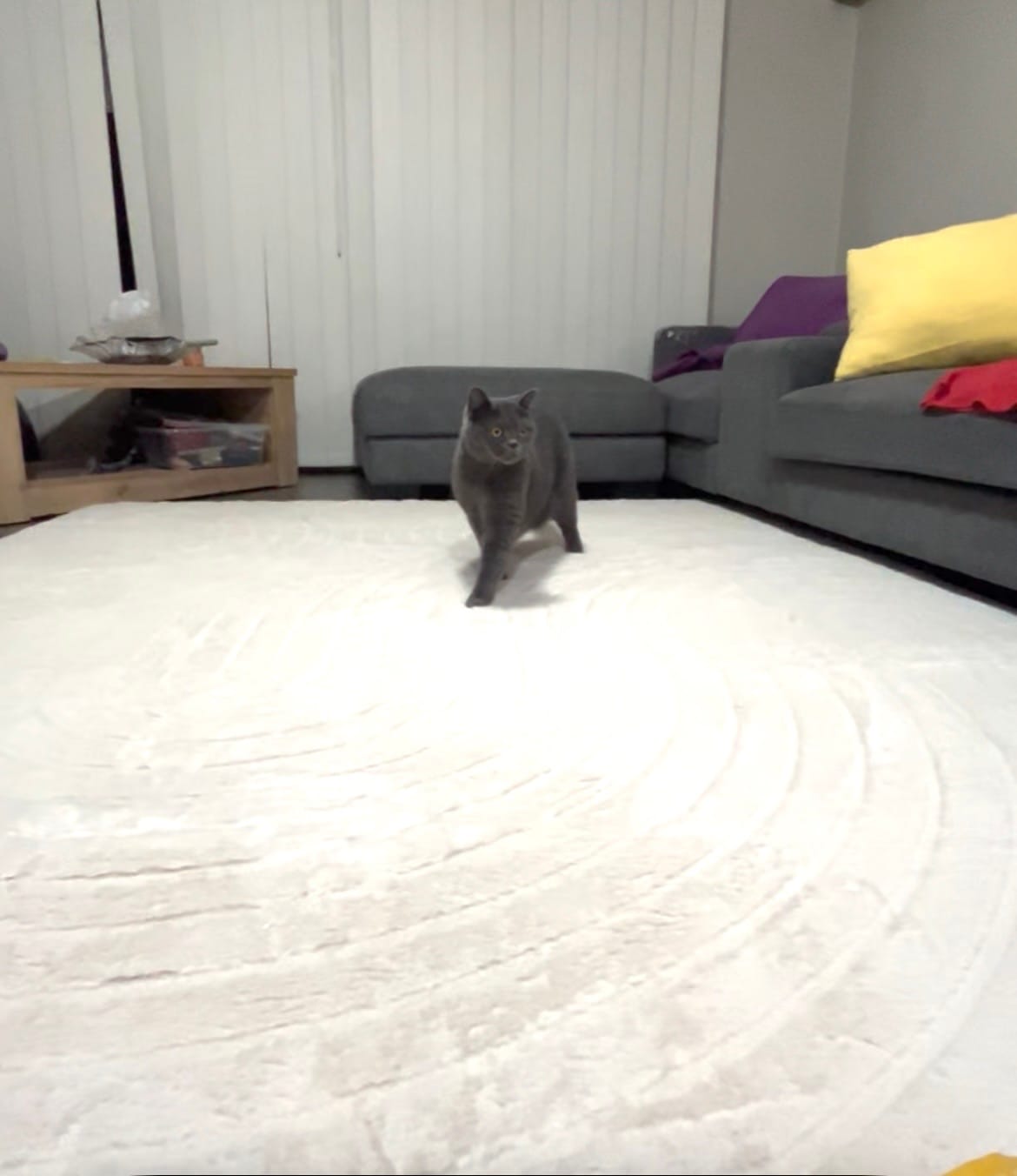 Customer photo review of Designer Relax Mat - 35mm Thick Foam Base