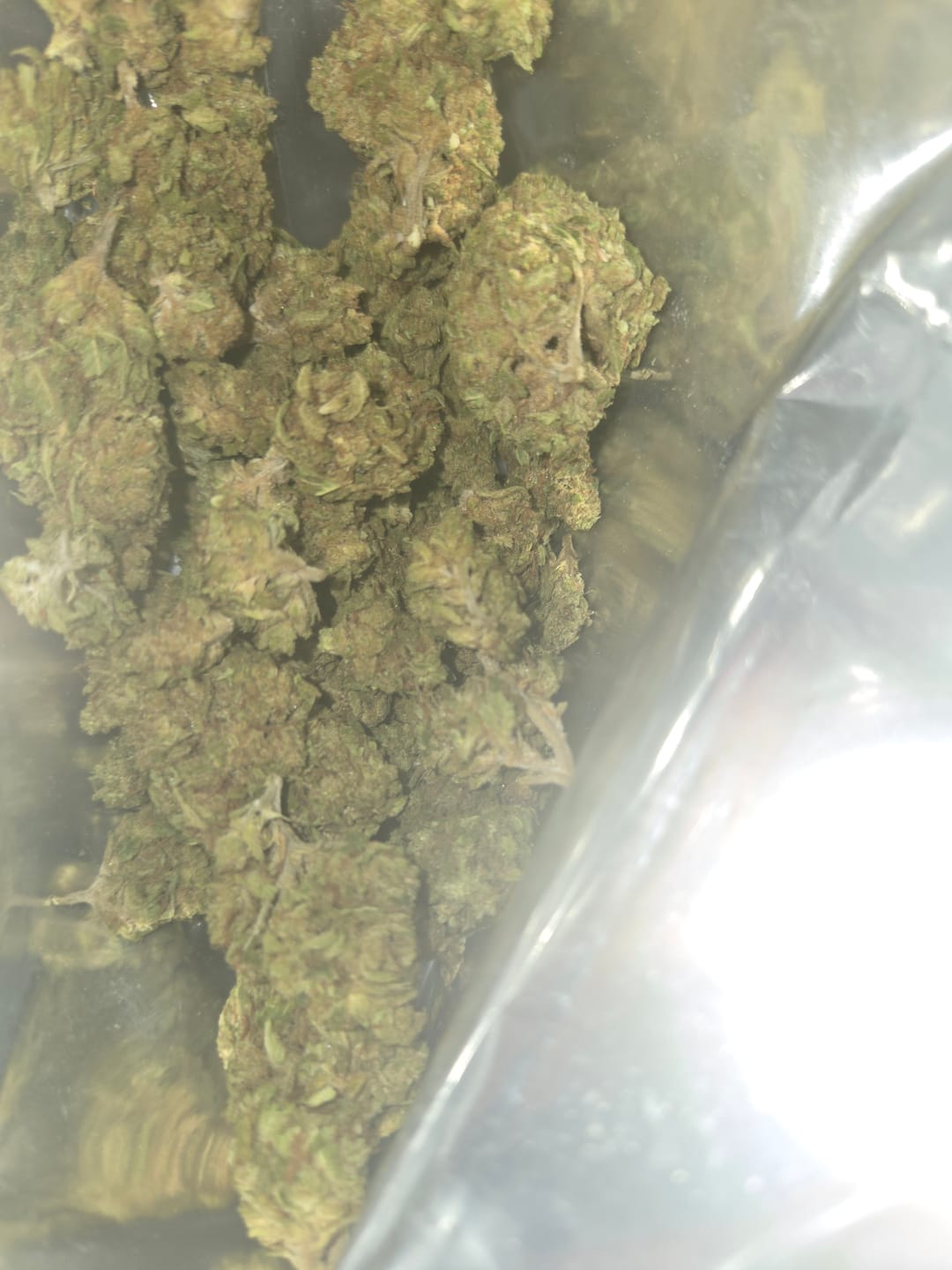 Customer photo review of Pure Michigan Greenhouse THCA