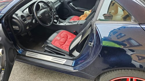Customer photo review of Devano - Individuelles Autositzkissen