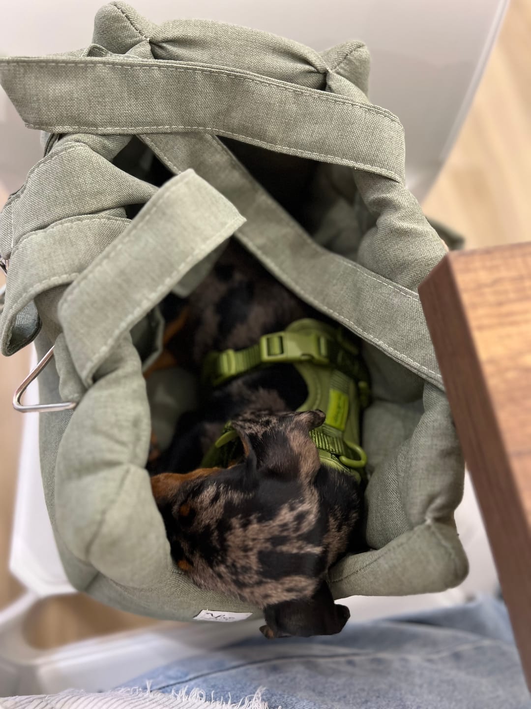 Customer photo review of Borsa Mattias (Soft Touch) Verde