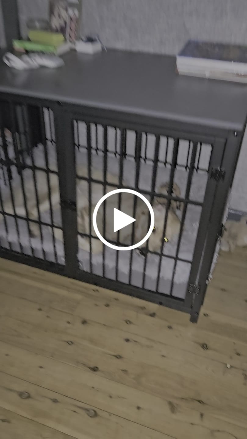 Customer video review of Calming Cover for Kangaroo Crate Mat
