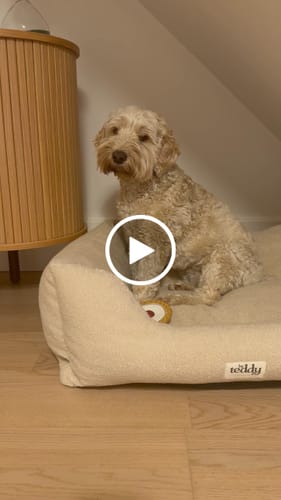Customer video review of The Cosy Bed