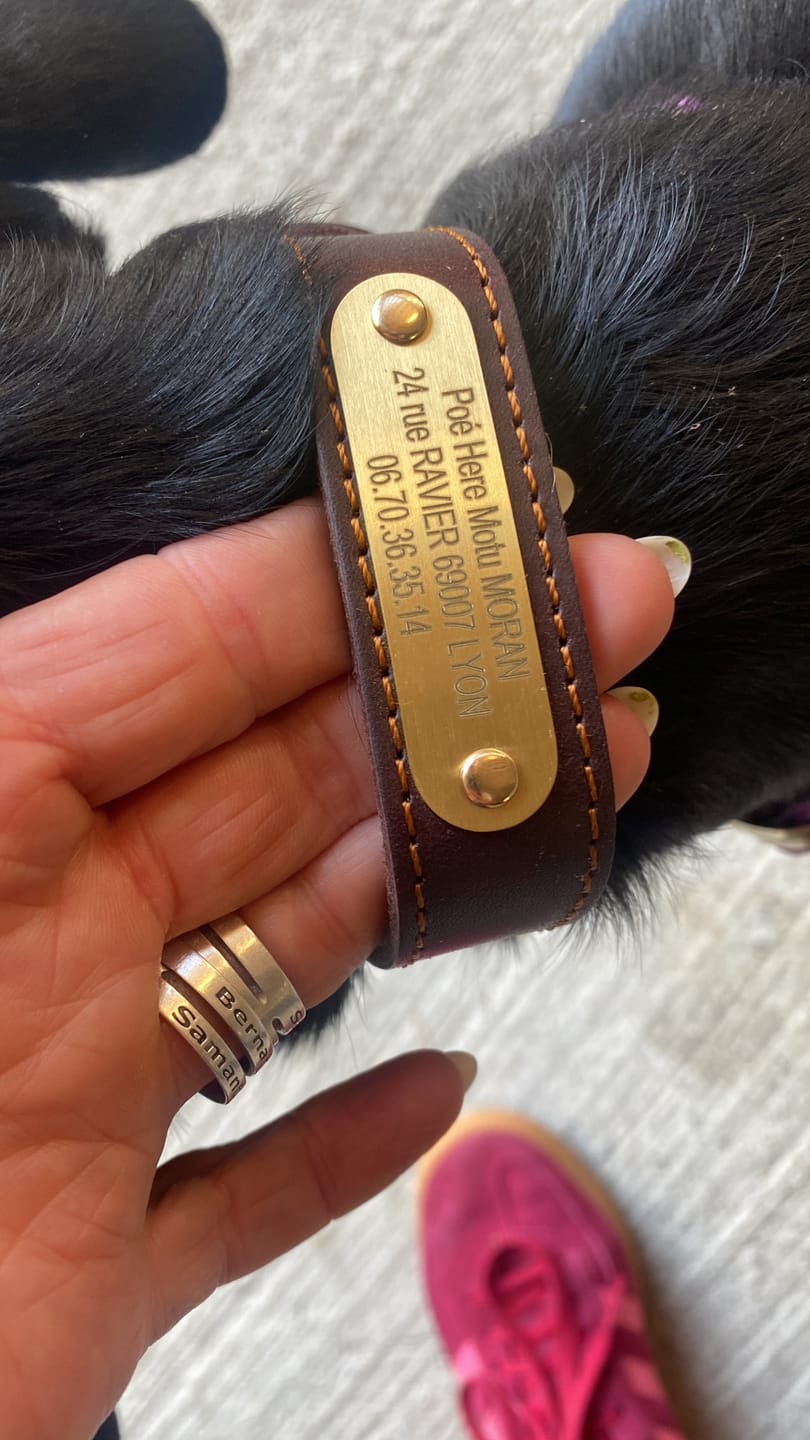 Customer photo review of Collier pour chien en cuir personnalisable