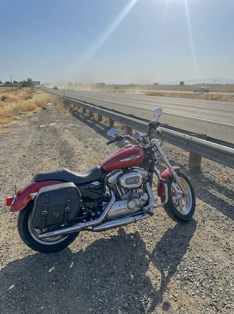 Customer photo review of 25L - Arch Large Shock Cutout Leather Motorcycle Saddlebags for Harley Sportster 1200 Custom XL1200C/XLH1200C