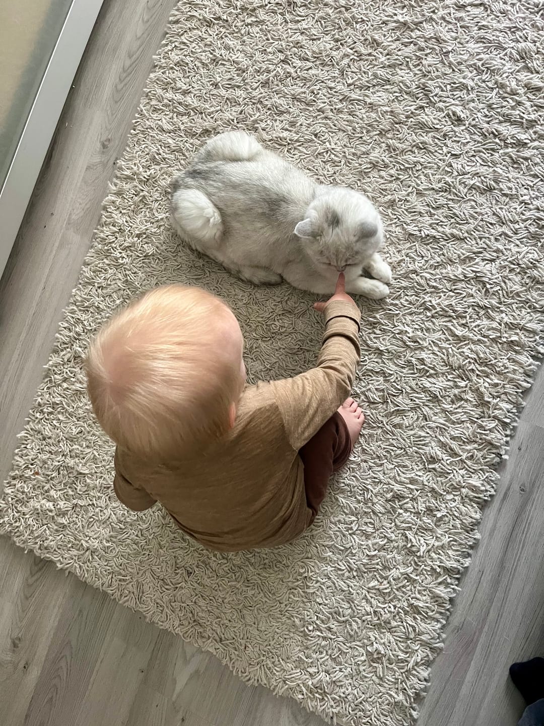 Customer photo review of Baby Longsleeve Sommermerino