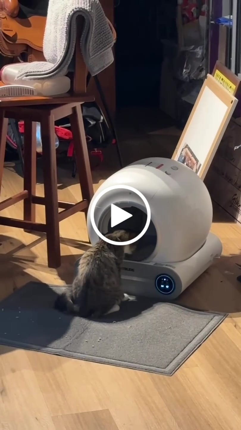 Customer video review of Petbuds Heavy Duty Cat Litter Box Liners