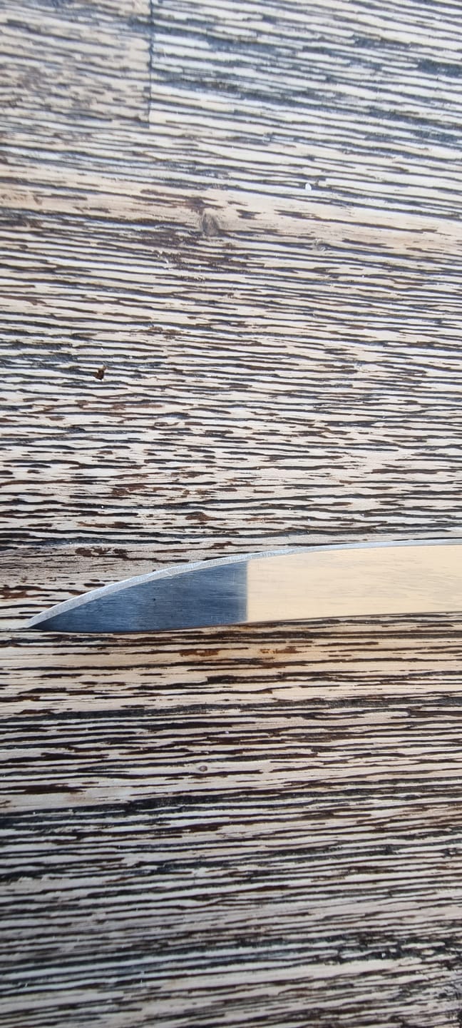 Customer photo review of Victory Knives - Extra Narrow Filleting Knife