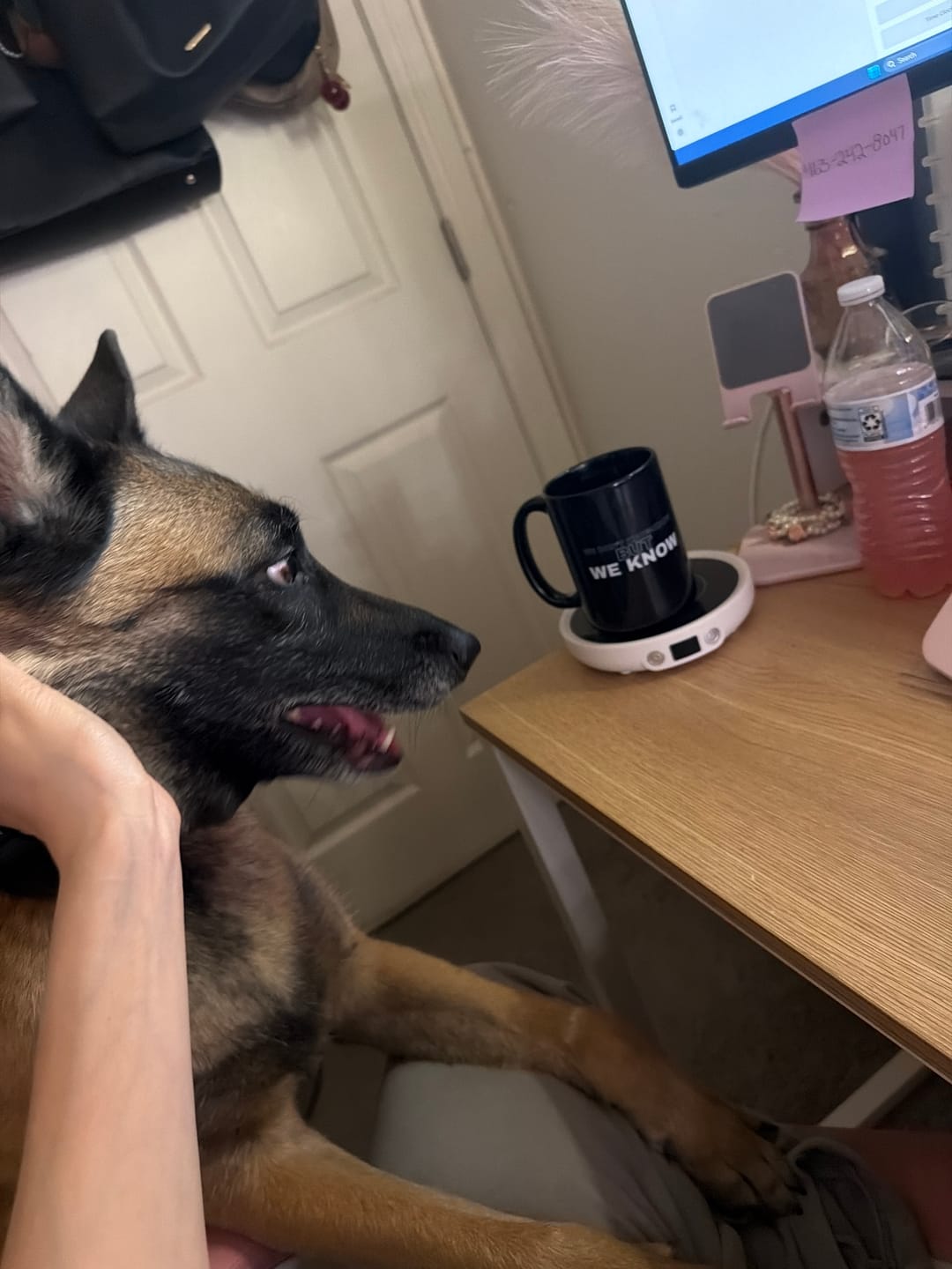 Customer photo review of We Know Mug