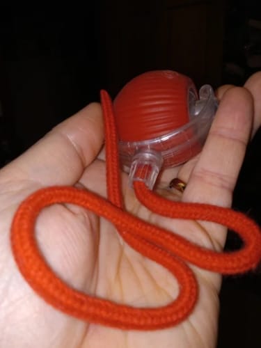 Customer photo review of Smart Interactive Rolling Ball for Small Dogs