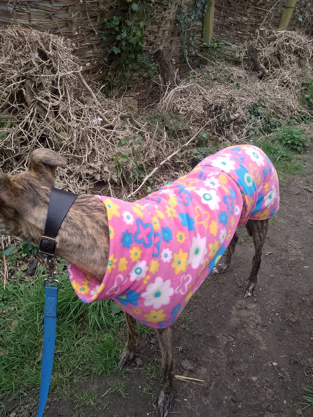 Customer photo review of Pink Garden Anti Pill Polar Fleece Fabric