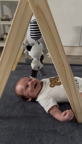 Customer photo review of Hanging Plush Toy - "Casey the Cow"