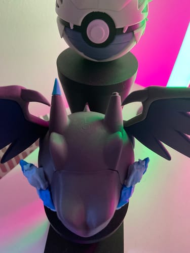 Customer photo review of 0006 - Mega Charizard X