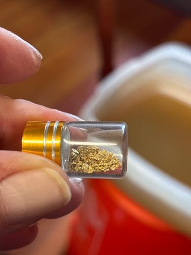 Customer photo review of Elite 'NUGGET CHASE' - Gold Panning Paydirt Concentrate