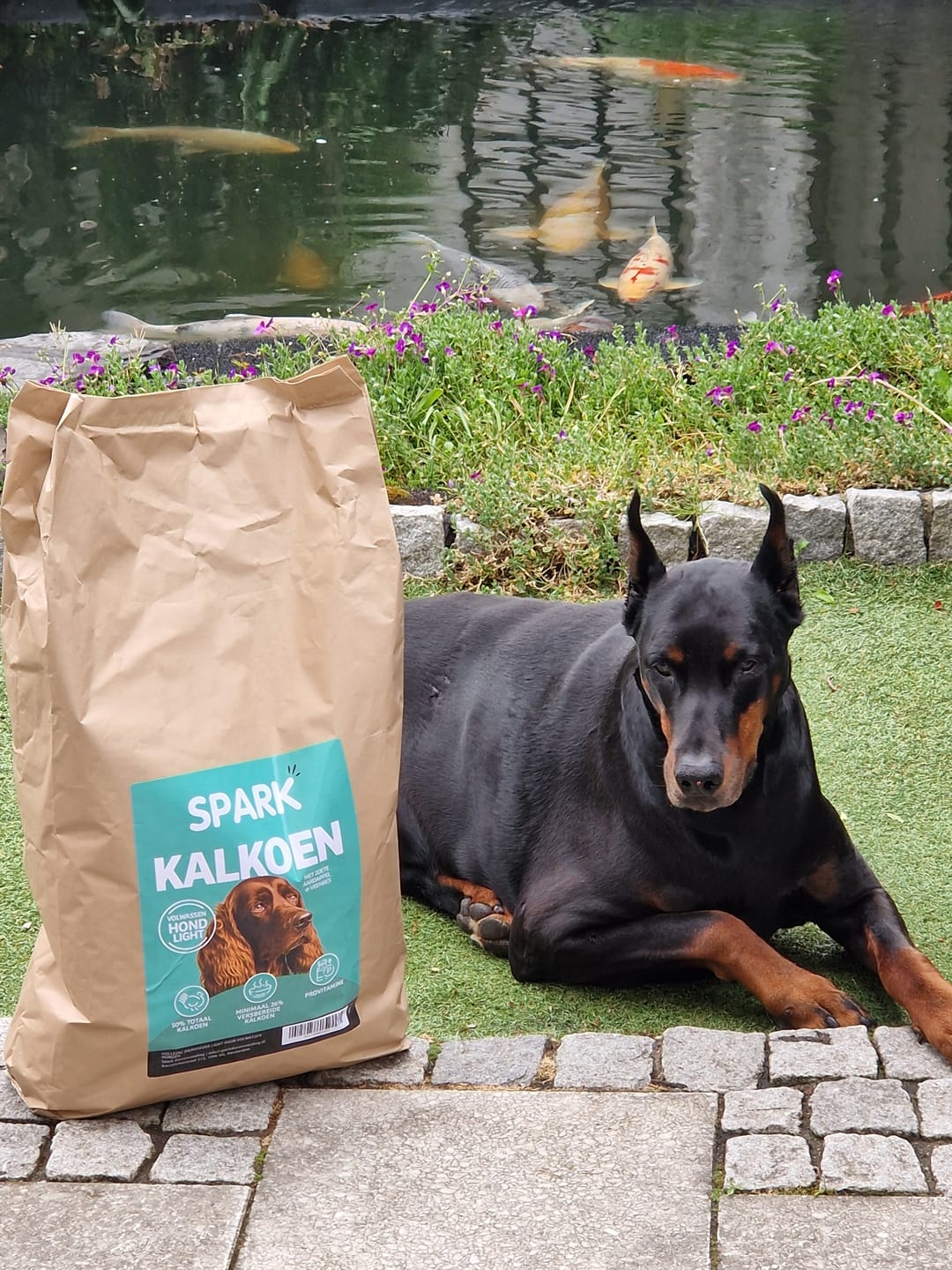 Customer photo review of Senior - Light - Kalkoen met Zoete Aardappel & Veenbes