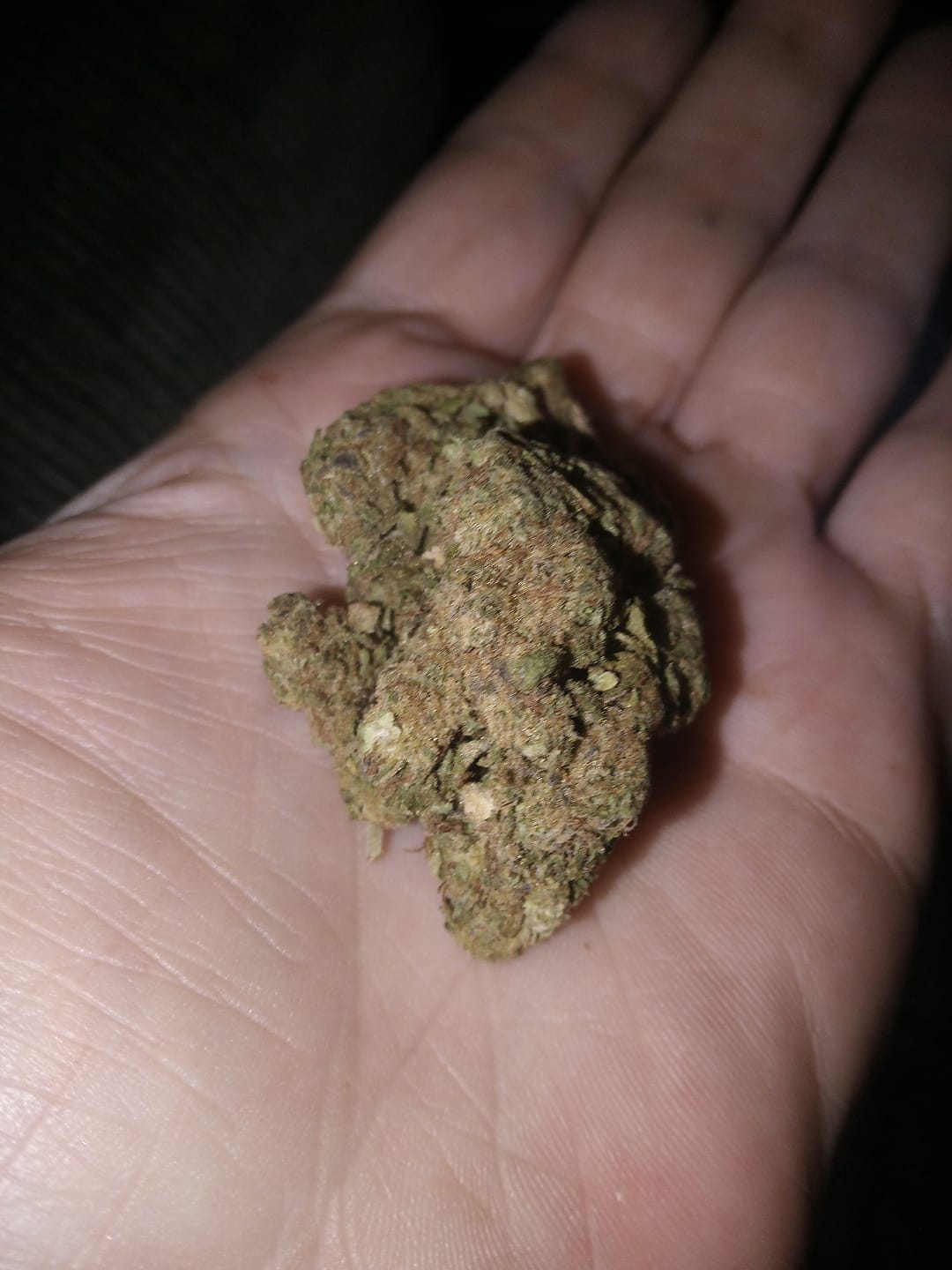 Customer photo review of GMO Indoor THCA