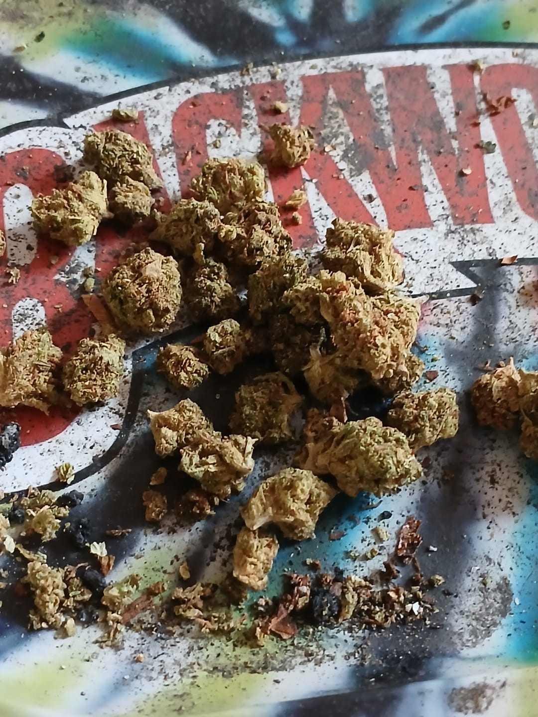 Customer photo review of QP of Smalls - Bulk - 1/4 Pounds