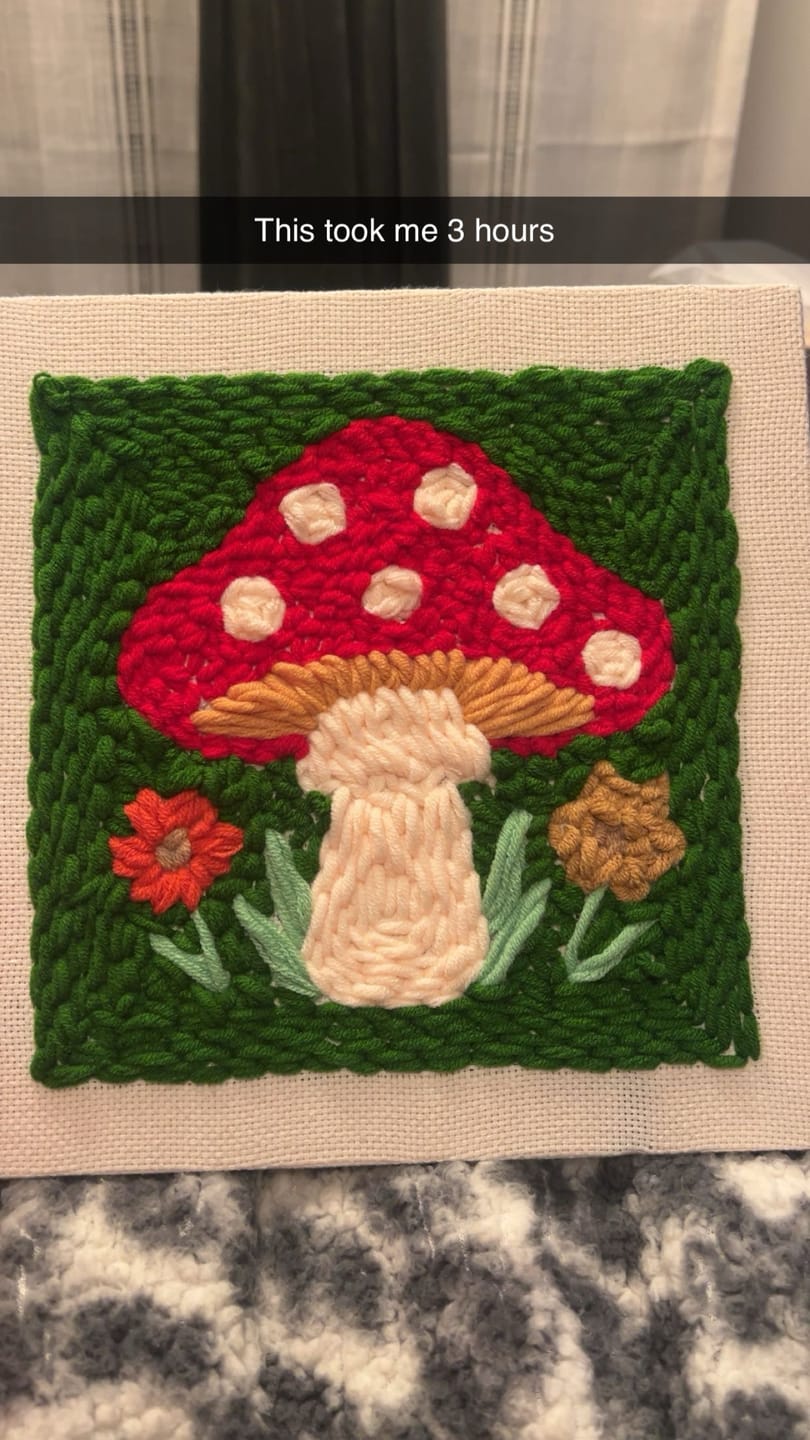 Customer photo review of Forest Mushroom