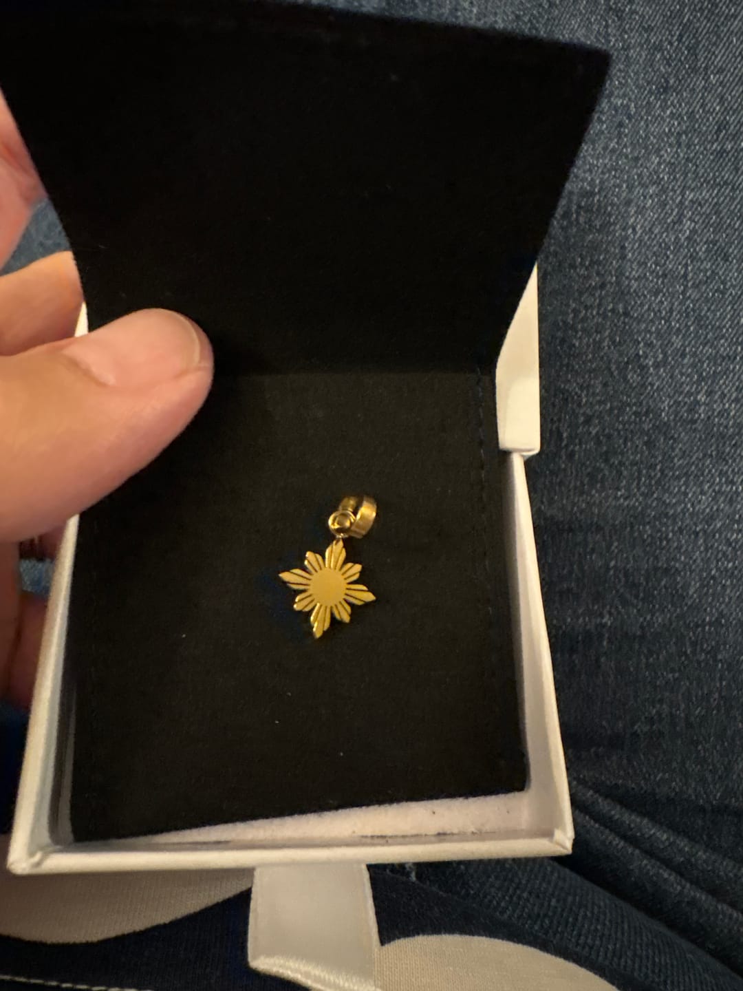 Customer photo review of Araw II Pendant