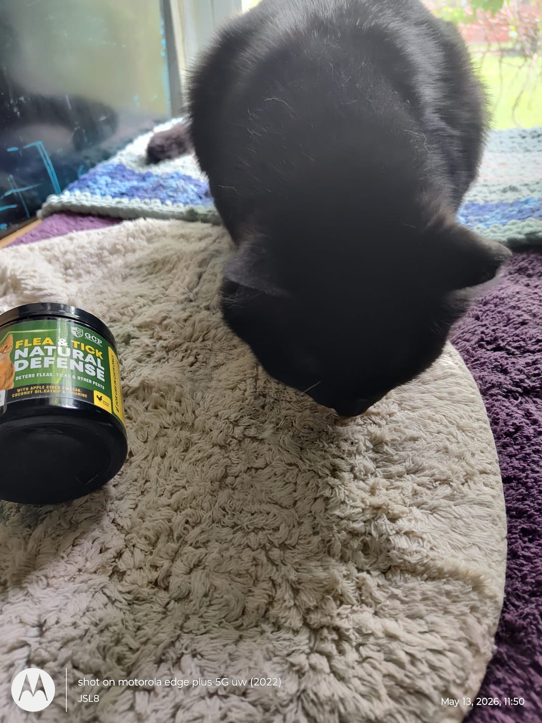 Customer photo review of GCP Flea & Tick Natural Defense for Cats - 100 Soft Chews