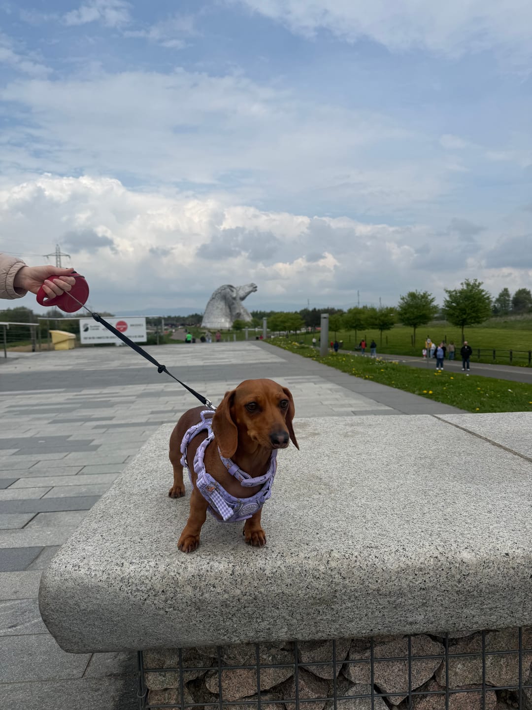 Customer photo review of Disney© Tough Trails™ Harness - Bambi + Friends Lilac