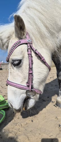 Customer photo review of Sparkle Bridle & Brow Band