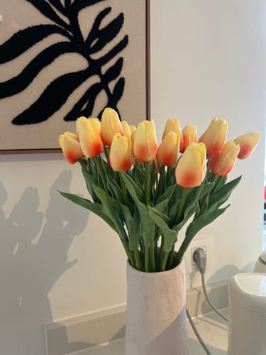 Customer photo review of Tulipes - Pêche (25 Tiges)
