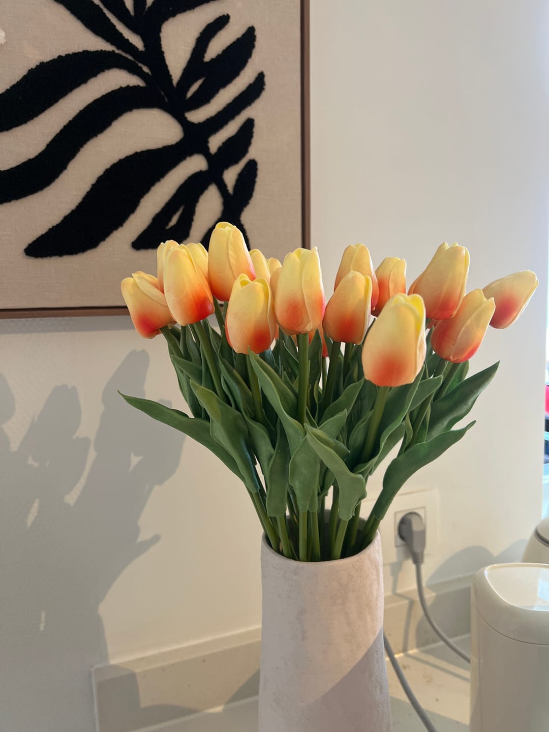 Customer photo review of Tulipes - Pêche (25 Tiges)