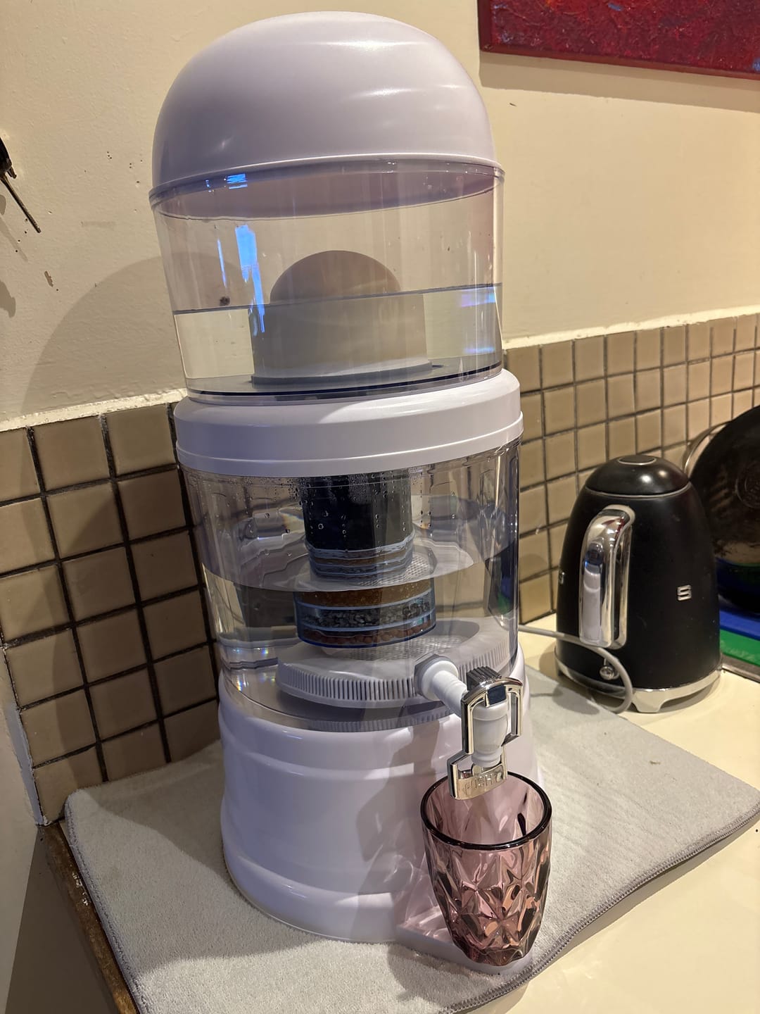 Customer photo review of Trinity by HolyH₂O™ | Remove Fluoride from Aussie Tap Water