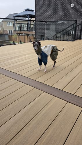 Customer photo review of Barrier Raincoat