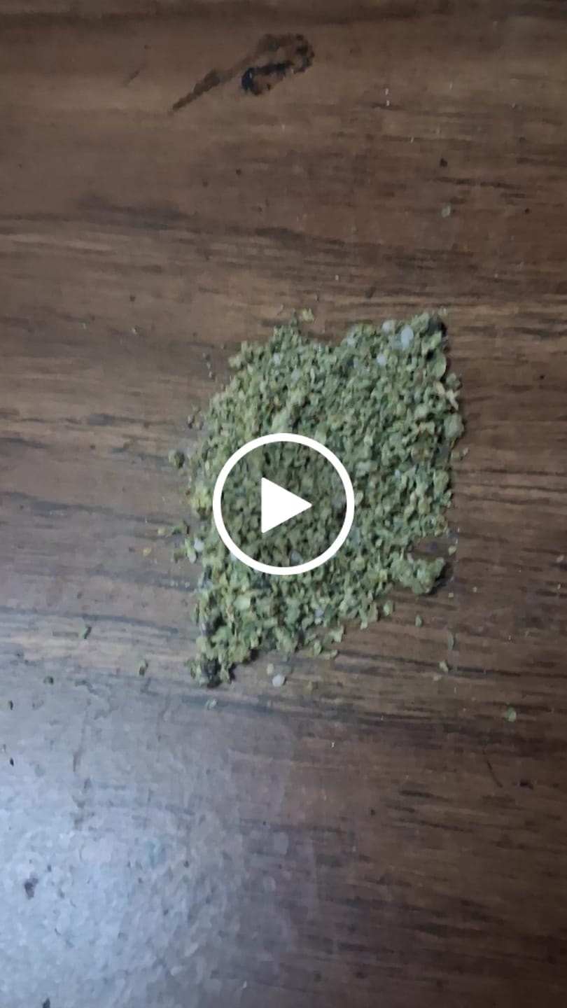 Customer video review of Gelato 45 - THCa Flower