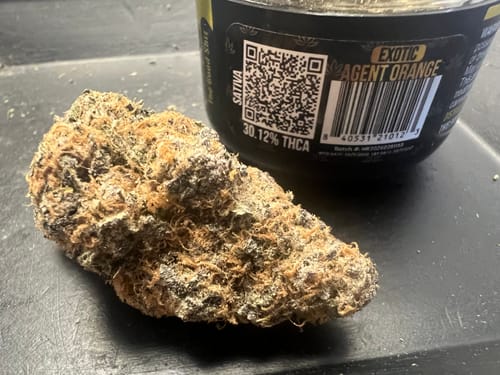 Customer photo review of Shipping Protection by Route